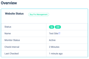 website overview table