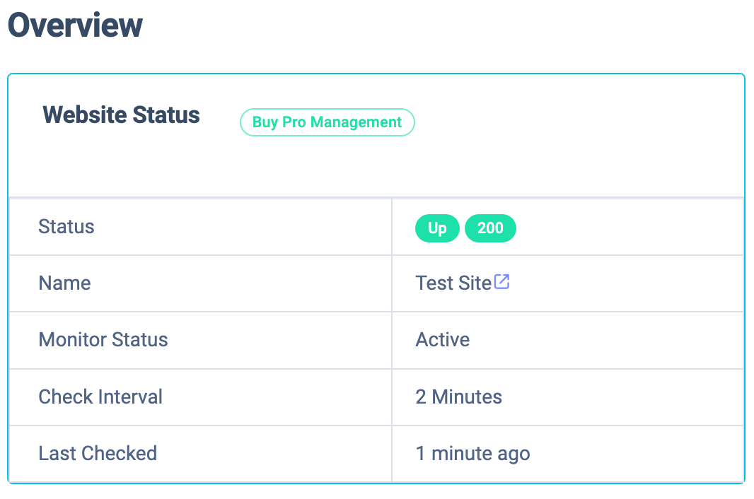 Check website overview - UptimeMonster